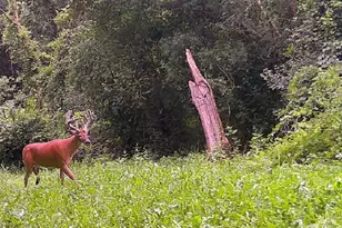 1079 Koshkonong Rd, Cambridge, WI 53523 - Photo 35