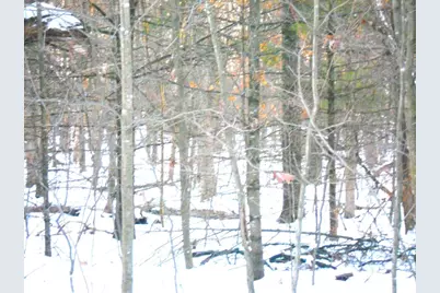 1.34 Ac Czech Drive, Friendship, WI 53934 - Photo 1