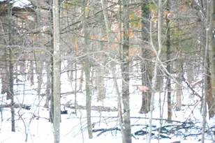 1 34 Ac Czech Dr, Friendship, WI 53934 - Photo 1