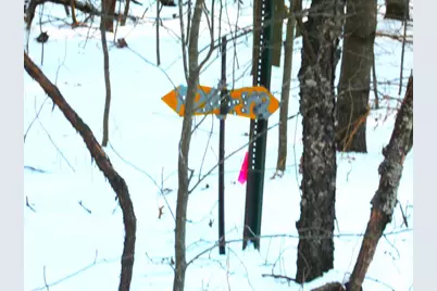 1.34 Ac Czech Drive, Friendship, WI 53934 - Photo 5