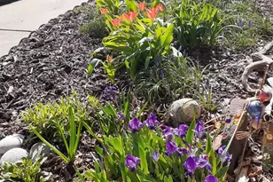 1703 Cumberland Ct, Waunakee, WI 53597 - Photo 35