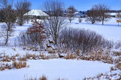 8.73 M/L Acres Golf Course Road, Brodhead, WI 53520 - Photo 7