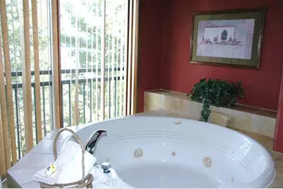 350 E Hiawatha Drive #327, Lake Delton, WI 53940 - Photo 21