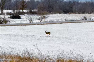 W2140 Behnke Rd, Brooklyn, WI 53521 - Photo 65