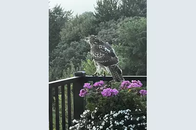 5038 Congressional Hill, Middleton, WI 53597 - Photo 83