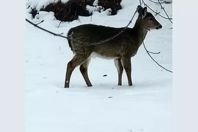 1713 E Howard Drive, Edgerton, WI 53534 - Photo 11