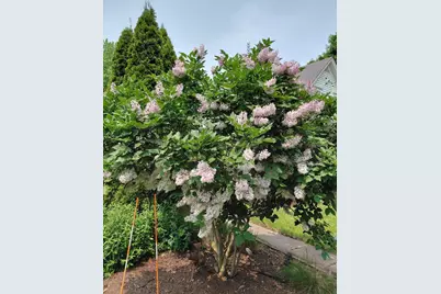 1106 Madison Street, Sauk City, WI 53583 - Photo 77