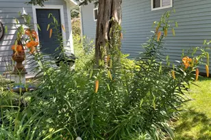 1106 Madison St, Sauk City, WI 53583 - Photo 81