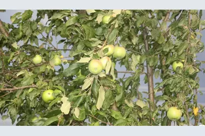 15428 Hazelgreen Road, Tomah, WI 54660 - Photo 35