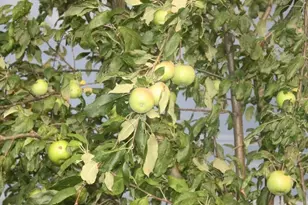 15428 Hazelgreen Rd, Tomah, WI 54660 - Photo 35