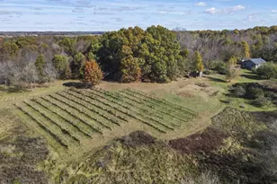 W2673 Zurfluh Rd, Albany, WI 53502 - Photo 57