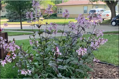 718 Grove Street, Beaver Dam, WI 53916 - Photo 15