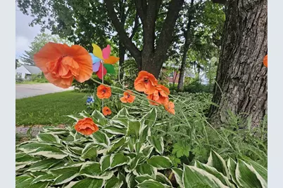 213 Highland Street, Mount Horeb, WI 53572 - Photo 67