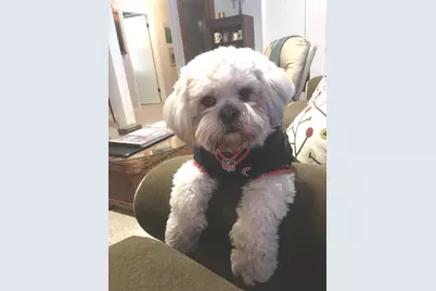 1816 Eastwood Avenue, Janesville, WI 52545 - Photo 29