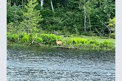 W9694 70, Park Falls, WI 54552 - Photo 25