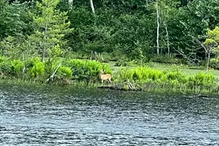 W9694 70, Park Falls, WI 54552 - Photo 25