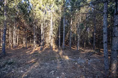 Lot 2 11th Drive, Friendship, WI 53934 - Photo 9