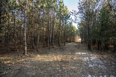 Lot 2 11th Drive, Friendship, WI 53934 - Photo 5