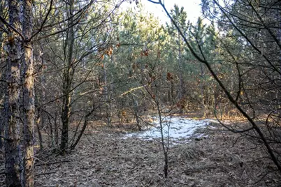 Lot 2 11th Drive, Friendship, WI 53934 - Photo 17