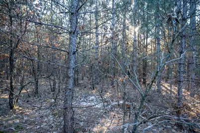 Lot 2 11th Drive, Friendship, WI 53934 - Photo 19