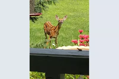 N9026 Hickory Point Road, Beaver Dam, WI 53916 - Photo 73