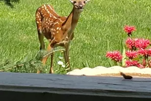 N9026 Hickory Point Rd, Beaver Dam, WI 53916 - Photo 73