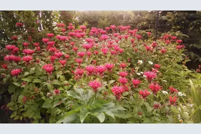 N9026 Hickory Point Road, Beaver Dam, WI 53916 - Photo 75