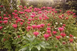 N9026 Hickory Point Rd, Beaver Dam, WI 53916 - Photo 75