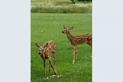 N9026 Hickory Point Road, Beaver Dam, WI 53916 - Photo 83