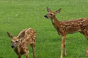 N9026 Hickory Point Rd, Beaver Dam, WI 53916 - Photo 83