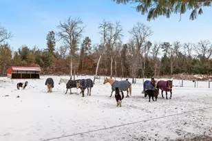W4838 28th St, Necedah, WI 54646 - Photo 29