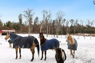 W4838 28th St, Necedah, WI 54646 - Photo 31