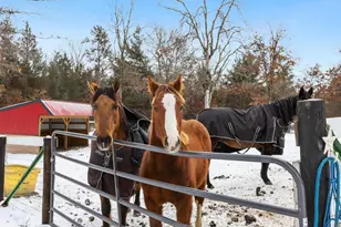 W4838 28th St, Necedah, WI 54646 - Photo 35