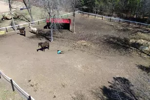 W4838 28th St, Necedah, WI 54646 - Photo 59