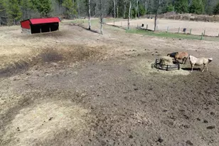 W4838 28th St, Necedah, WI 54646 - Photo 55