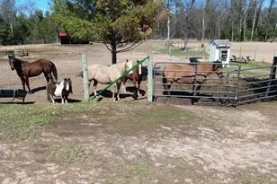 W4838 28th St, Necedah, WI 54646 - Photo 65