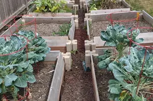 1002 Ellen Ave, Madison, WI 53716 - Photo 25