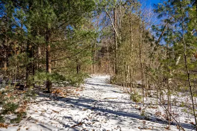 W5541 Windover Court, New Lisbon, WI 53950 - Photo 23