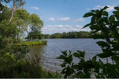 W5541 Windover Court, New Lisbon, WI 53950 - Photo 3