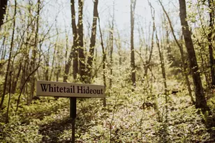 N7703 Wanlass Rd, Mindoro, WI 54644 - Photo 11