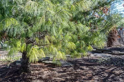 345 Kensington Drive, Madison, WI 53704 - Photo 59