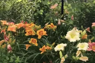 5026 Piccadilly Dr, Madison, WI 53714 - Photo 17