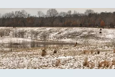 2387 County Road G, Grand Marsh, WI 53936 - Photo 7