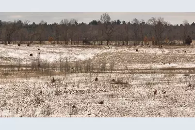 2387 County Road G, Grand Marsh, WI 53936 - Photo 23