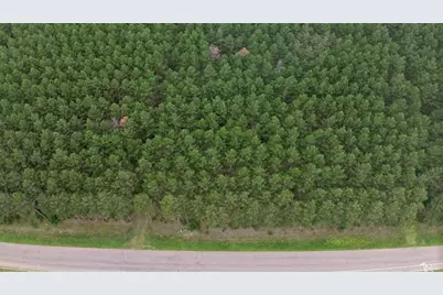 391 Twin Lakes Trail, Nekoosa, WI 54457 - Photo 5