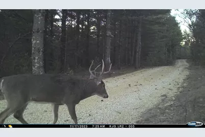 4604 County Highway I, Sparta, WI 54656 - Photo 83