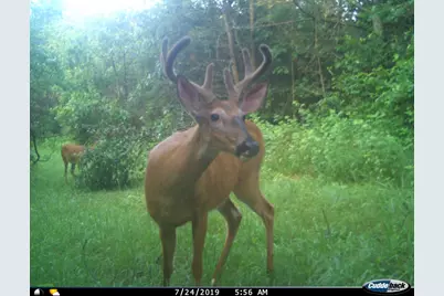 4604 County Highway I, Sparta, WI 54656 - Photo 73