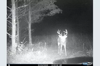 4604 County Highway I, Sparta, WI 54656 - Photo 75