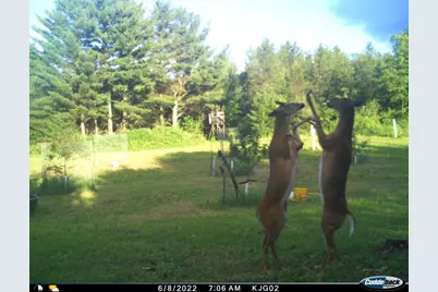 4604 County Highway I, Sparta, WI 54656 - Photo 77