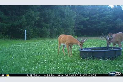 4604 County Highway I, Sparta, WI 54656 - Photo 79